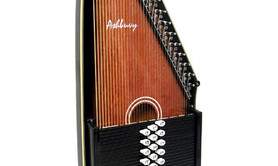 Michel Lelong - Cours en présentiels ou à distance  et stage d'autoharp