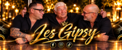 Animation musicale - Les Gipsy