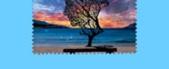 I Muvrini - Tournée
