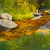 Peindre les paysages de rivière