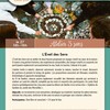Atelier créatif « Les 5 sens » – Saint-Avé